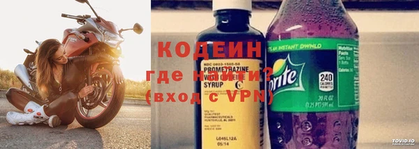 прущие грибы Ельня