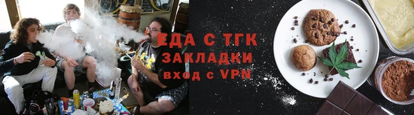 прущие грибы Ельня