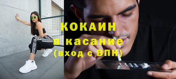 прущие грибы Ельня