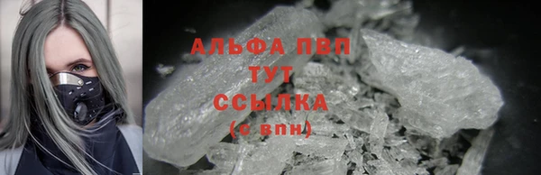 прущие грибы Ельня