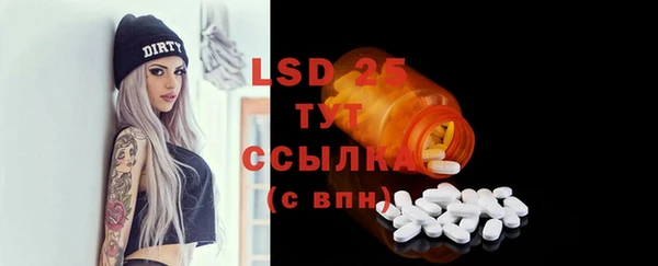 прущие грибы Ельня