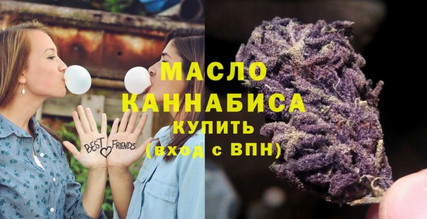 прущие грибы Ельня