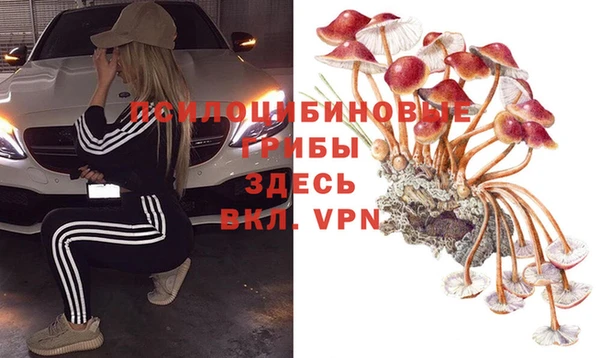 прущая мука Кедровый