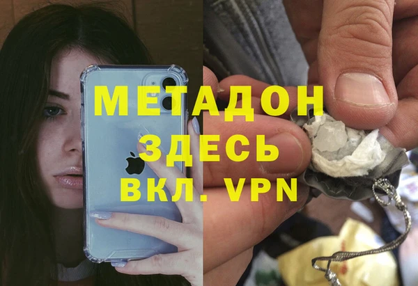 прущие грибы Ельня