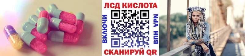 где купить наркоту  Питкяранта  Лсд 25 экстази ecstasy 