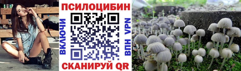 OMG ONION  Питкяранта  Галлюциногенные грибы MAGIC MUSHROOMS 